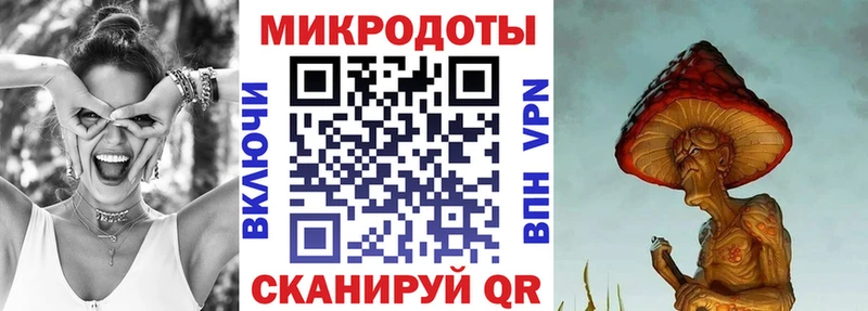 Галлюциногенные грибы Psilocybine cubensis Тында