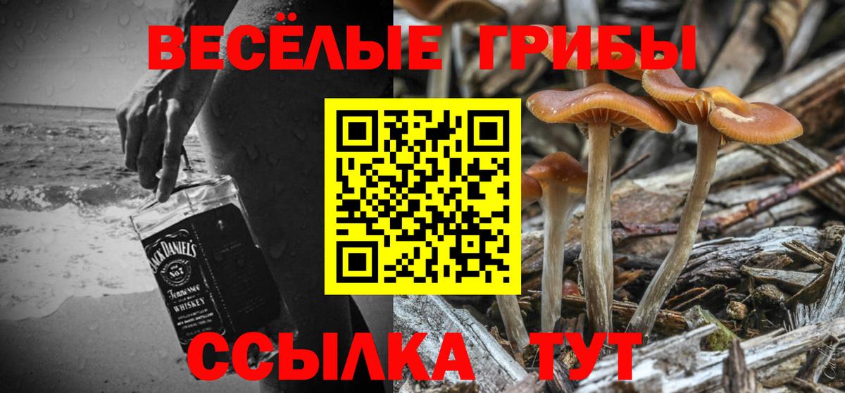 Галлюциногенные грибы мицелий  Псилоцибиновые грибы GOLDEN TEACHER  Вход с VPN  Тында 