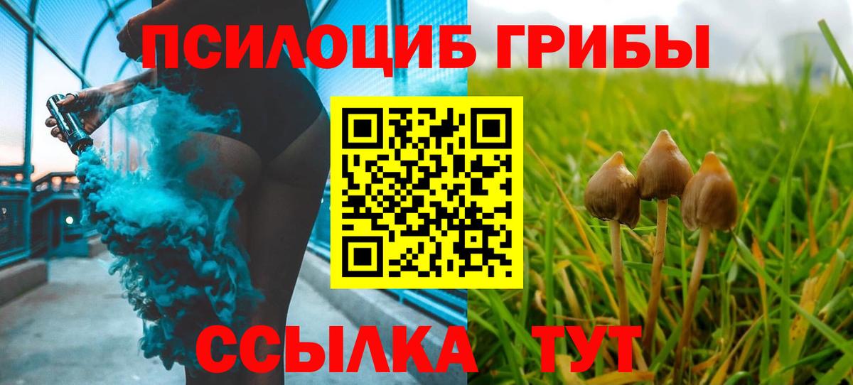 Галлюциногенные грибы ЛСД Тында